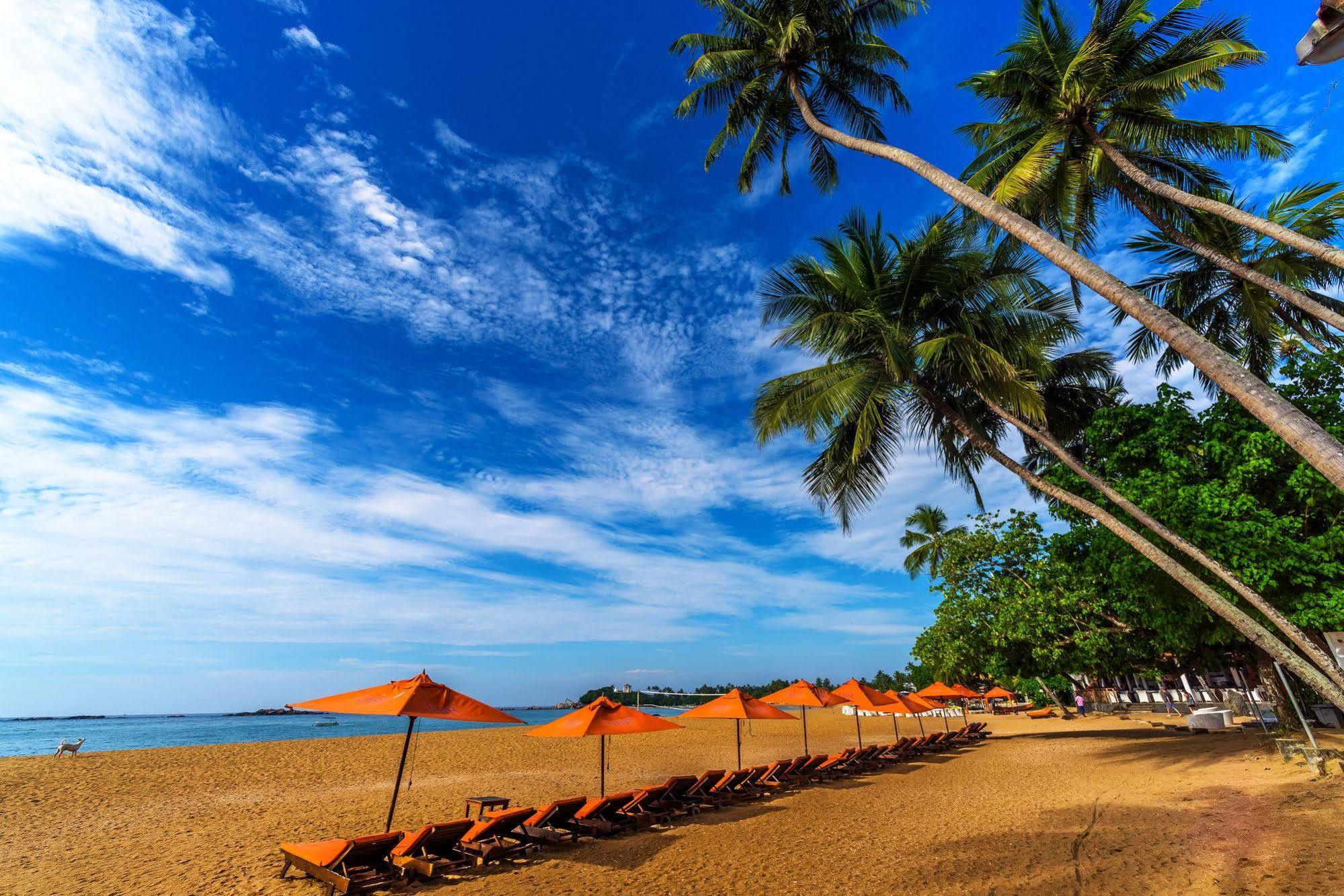 Calamander Unawatuna Beach Eksteriør billede